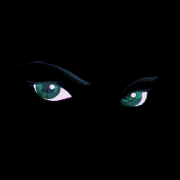 yeux